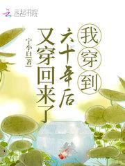 我穿到六十年后又穿回来了更新忘了没有