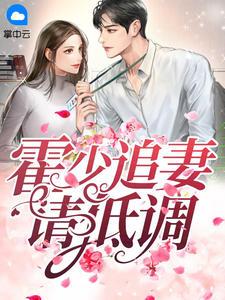 霍少追妻请低调全集完整版