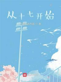 从十七开始播放