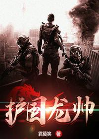 护国龙帅陈天龙全集免费阅读