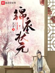 锦衣状元免费全文阅读