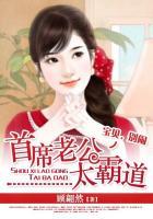 首席老公太霸道 宝贝 别闹