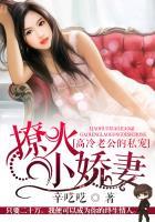高冷老公的私宠撩火小娇妻(独家宠婚高冷老公呆萌妻)