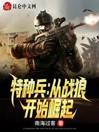 特种兵之战狼崛起 忆山尘