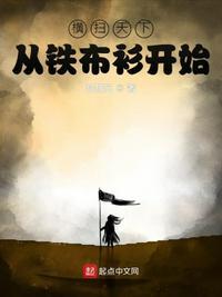 铁布衫从纵横天下开始