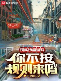 沙盒这个游戏