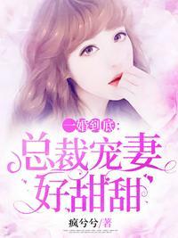 总裁宠妻甜甜甜