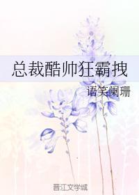 总裁酷帅狂霸拽广播剧