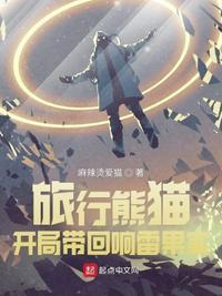 旅行熊猫怎么没了