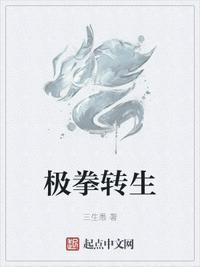 极拳转生 聚合中文网