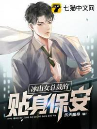 冰山女总裁的贴身兵王