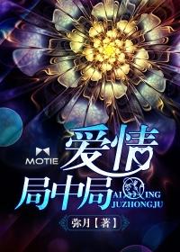 爱情局中局电影免费播放