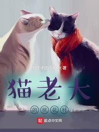 猫老大主播