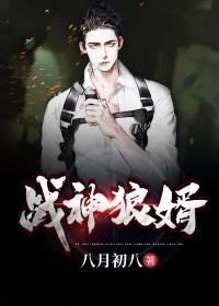 神龙佳婿叶新