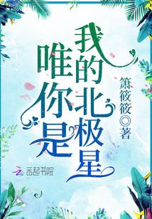 你是我的北极星告诉我前进的方向是什么歌