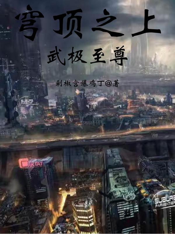 穹顶之上免费阅读