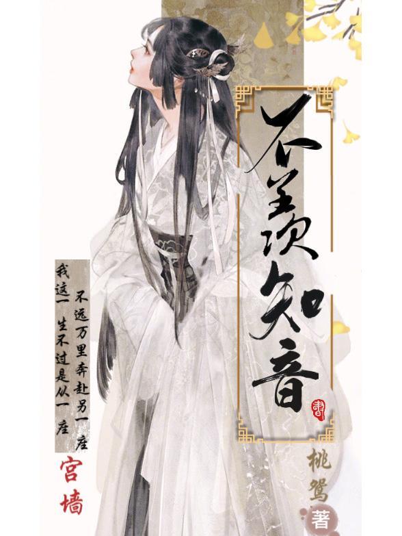 不羡明月知歌词是什么意思