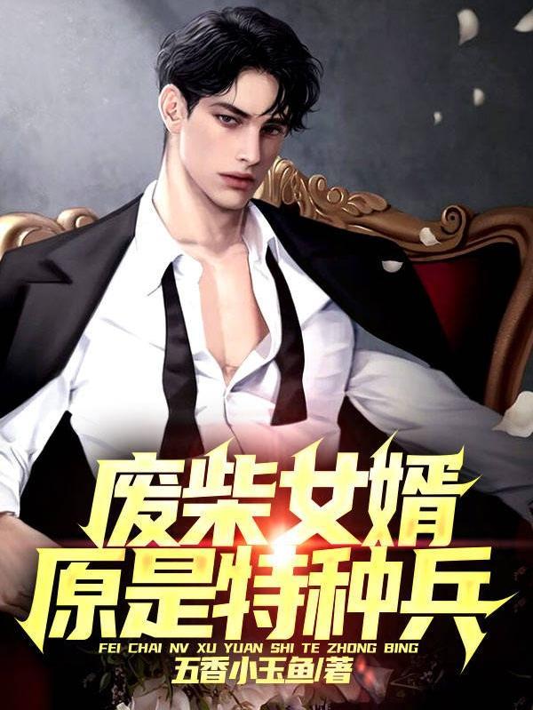 女婿是特种兵的电影