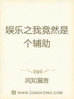 娱乐之我竟然是个辅助的