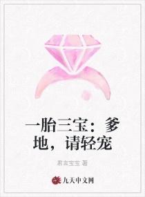 一胎三宝爹地请签字