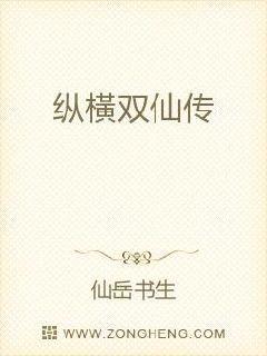 纵横双仙传属于什么档次