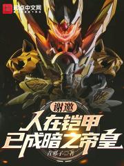 已成暗之帝皇暗之铠甲的名字
