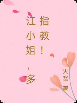 江小姐是什么电视