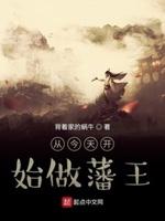 从今天开始做藩王软件
