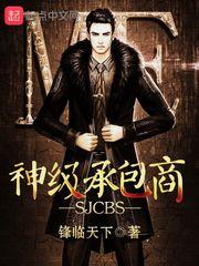 神级承包商TXT全集