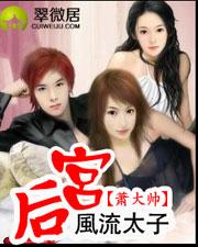 风流太子后宫大结局