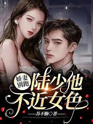 娇妻来袭陆少宠到底