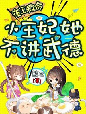 夜王妃百度百科