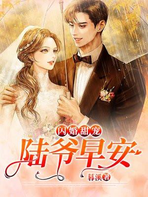 闪婚契约陆先生