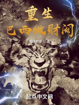 穿越巴西建国的