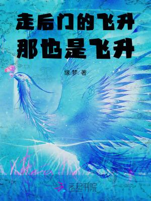 那也是飞升了吗