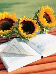 爹地妈咪马甲曝光了免费阅读