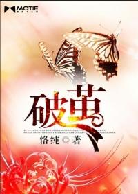 破茧成蝶的过程