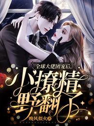 小撩精野翻了全文免费TXT