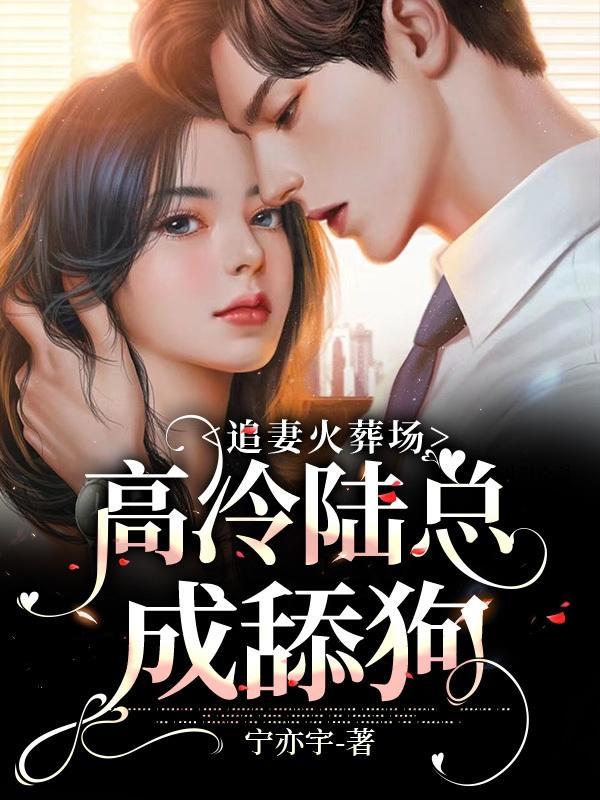 陆总追妻很给力