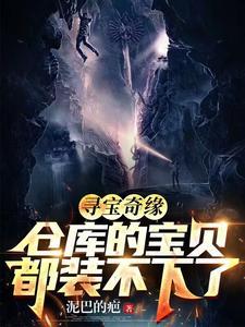 寻宝系列