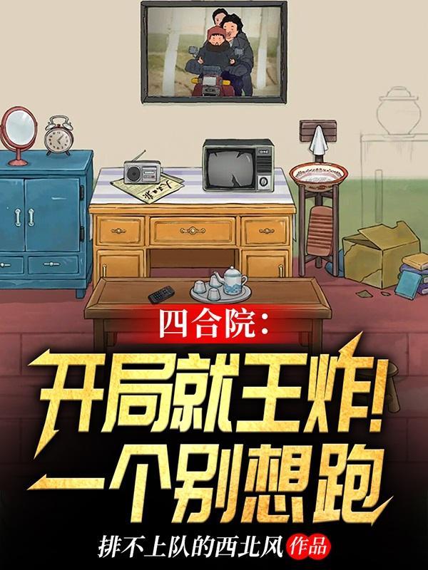 四合院开局有了个小目标