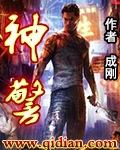 神警叶凡