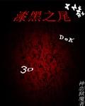 漆黑之视
