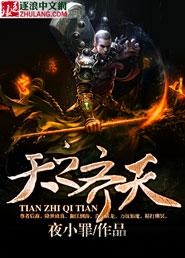 天之齐天 夜小罪