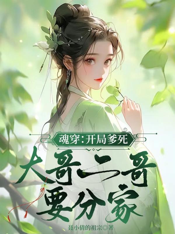 魂穿开局爹死大哥二哥要分家的