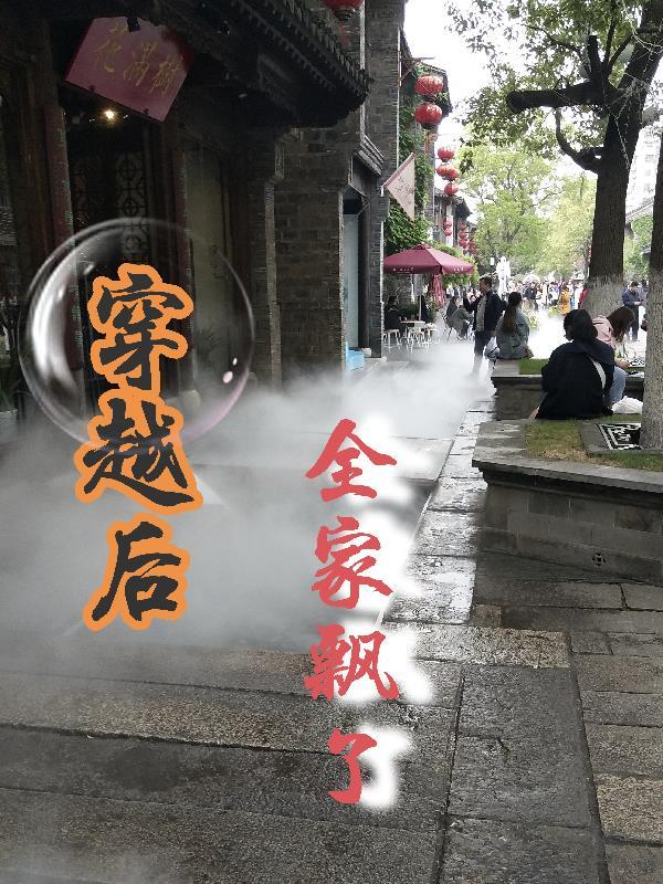 穿越后我拯救了全家