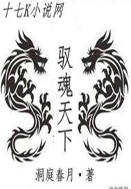 驭灵天下