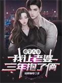 重生八零我让老婆三年抱了俩免费完整版
