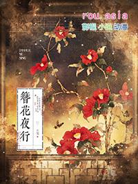 簪花夜行百度资源