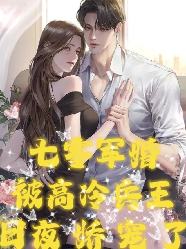 被高冷兵王日夜娇宠了作者沐泠著